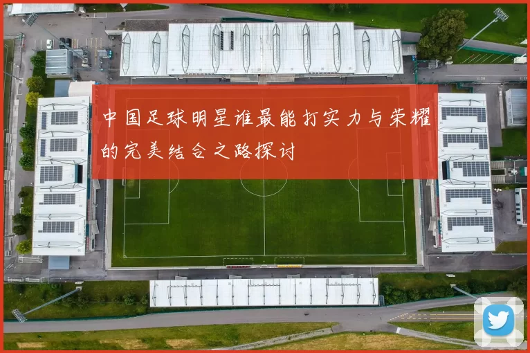 中国足球明星谁最能打实力与荣耀的完美结合之路探讨