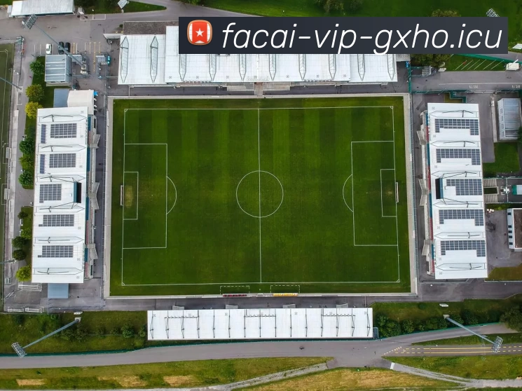 星空体育发展历程